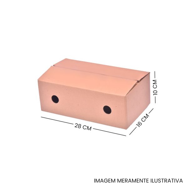 Caixa ICE Maleta Parda 28x16x10cm